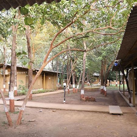 Nature Trails Sajan, Vikramgad Kudan Exterior photo