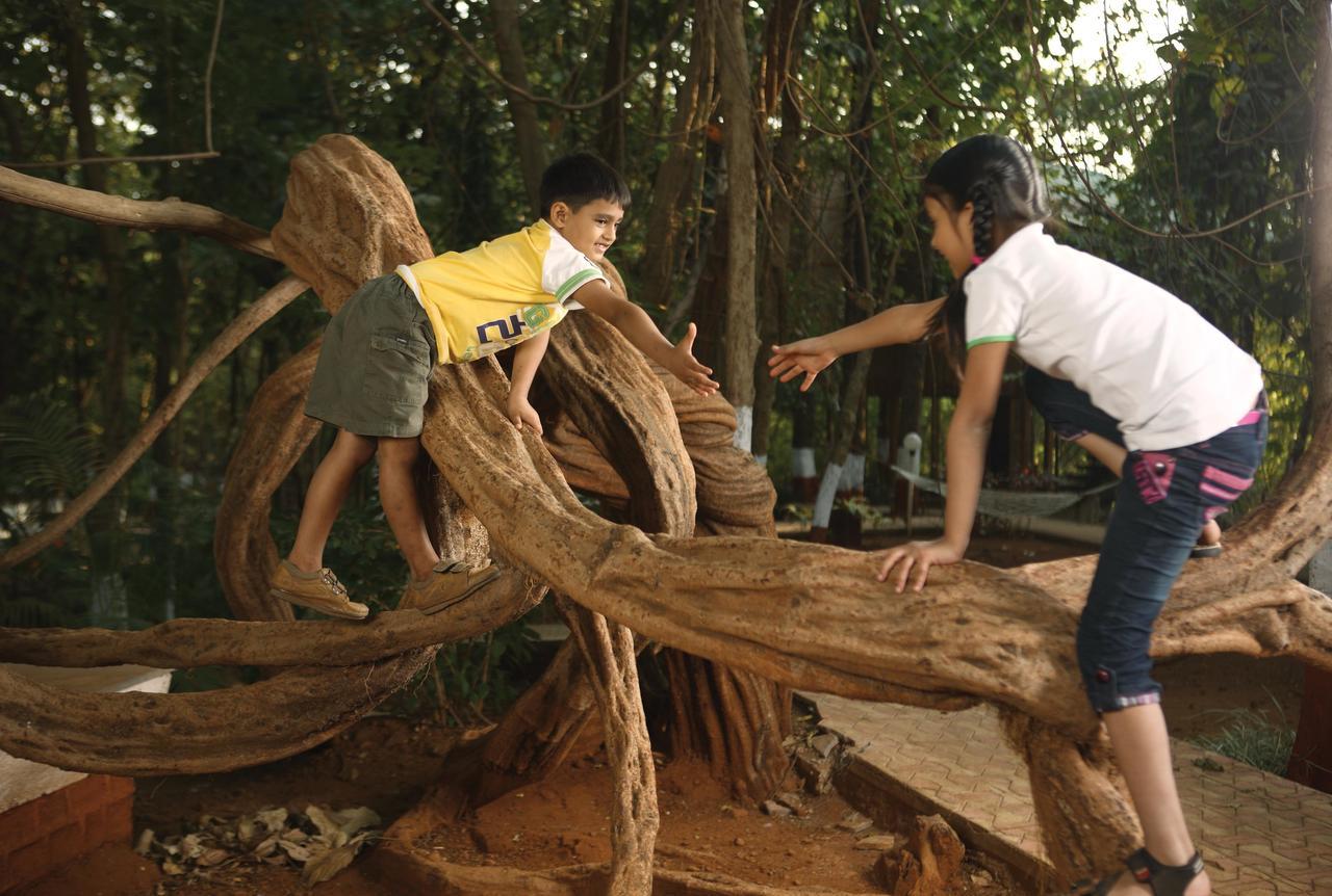 Nature Trails Sajan, Vikramgad Kudan Exterior photo