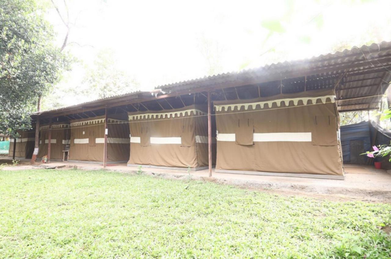 Nature Trails Sajan, Vikramgad Kudan Exterior photo